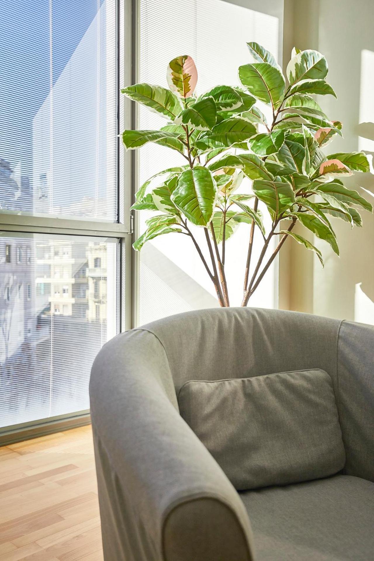 Bbarcelona Placa Universitat Flat Eksteriør bilde